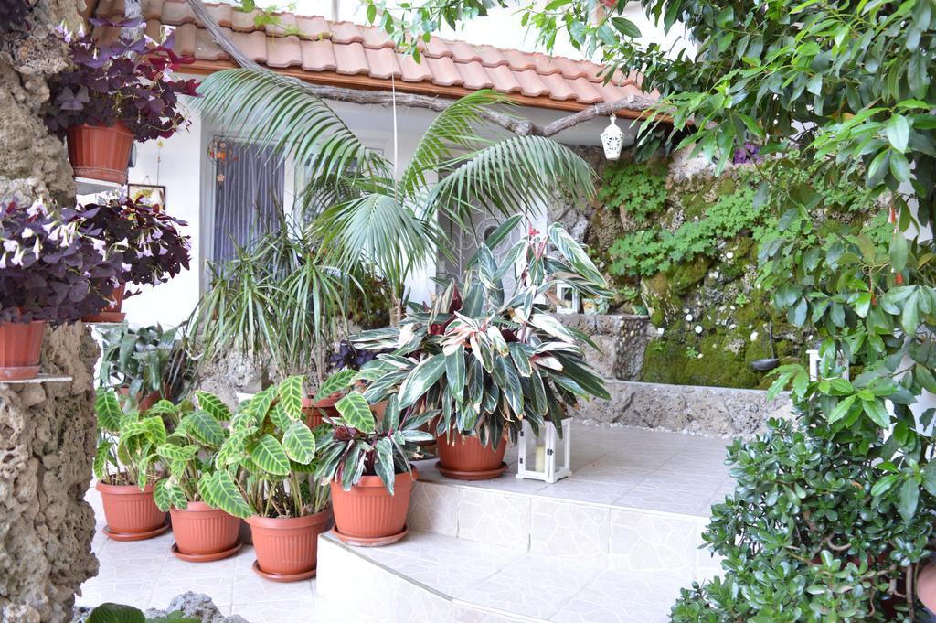 Family Hotel Sofi Sozopol Extérieur photo