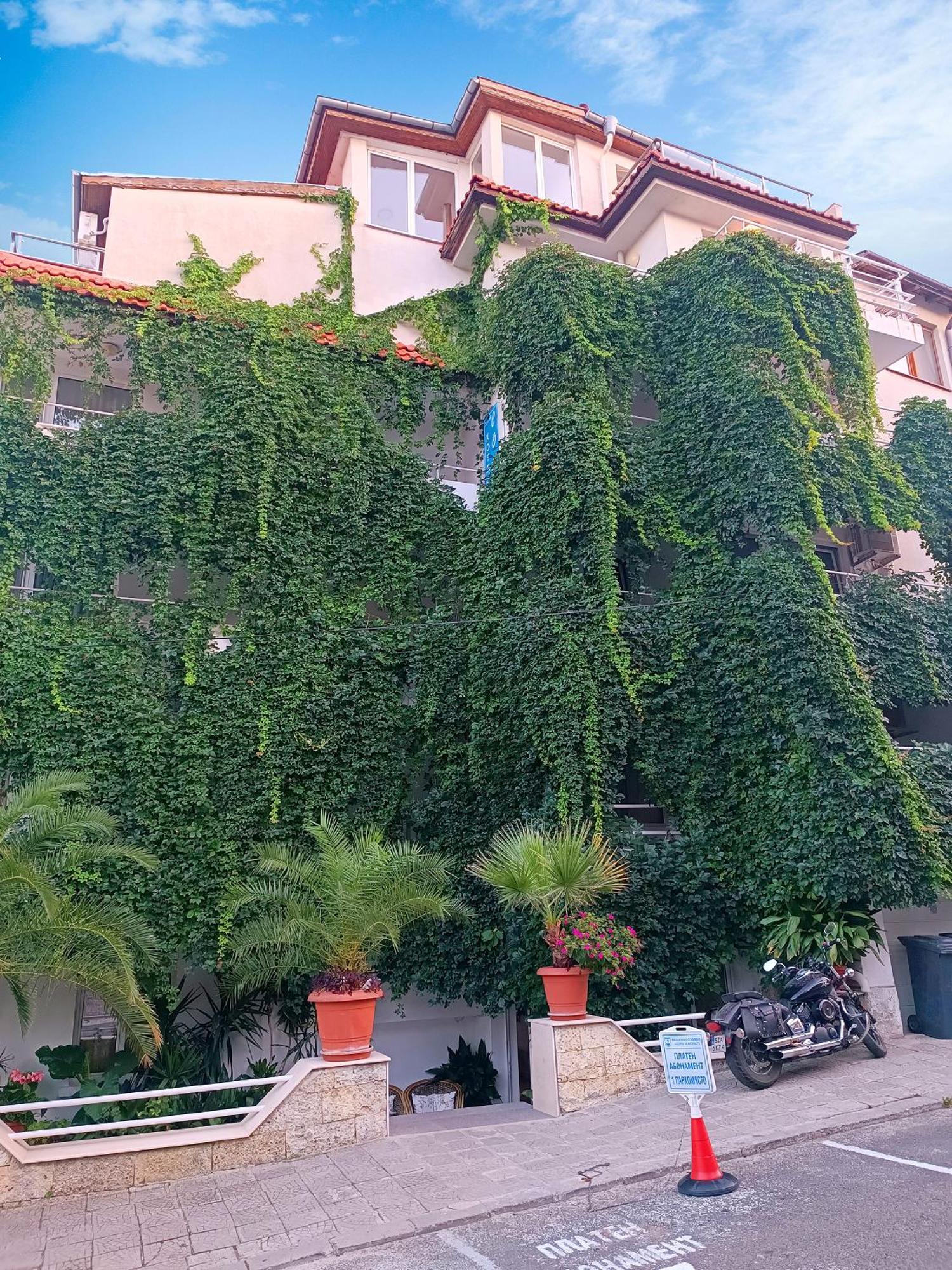 Family Hotel Sofi Sozopol Extérieur photo